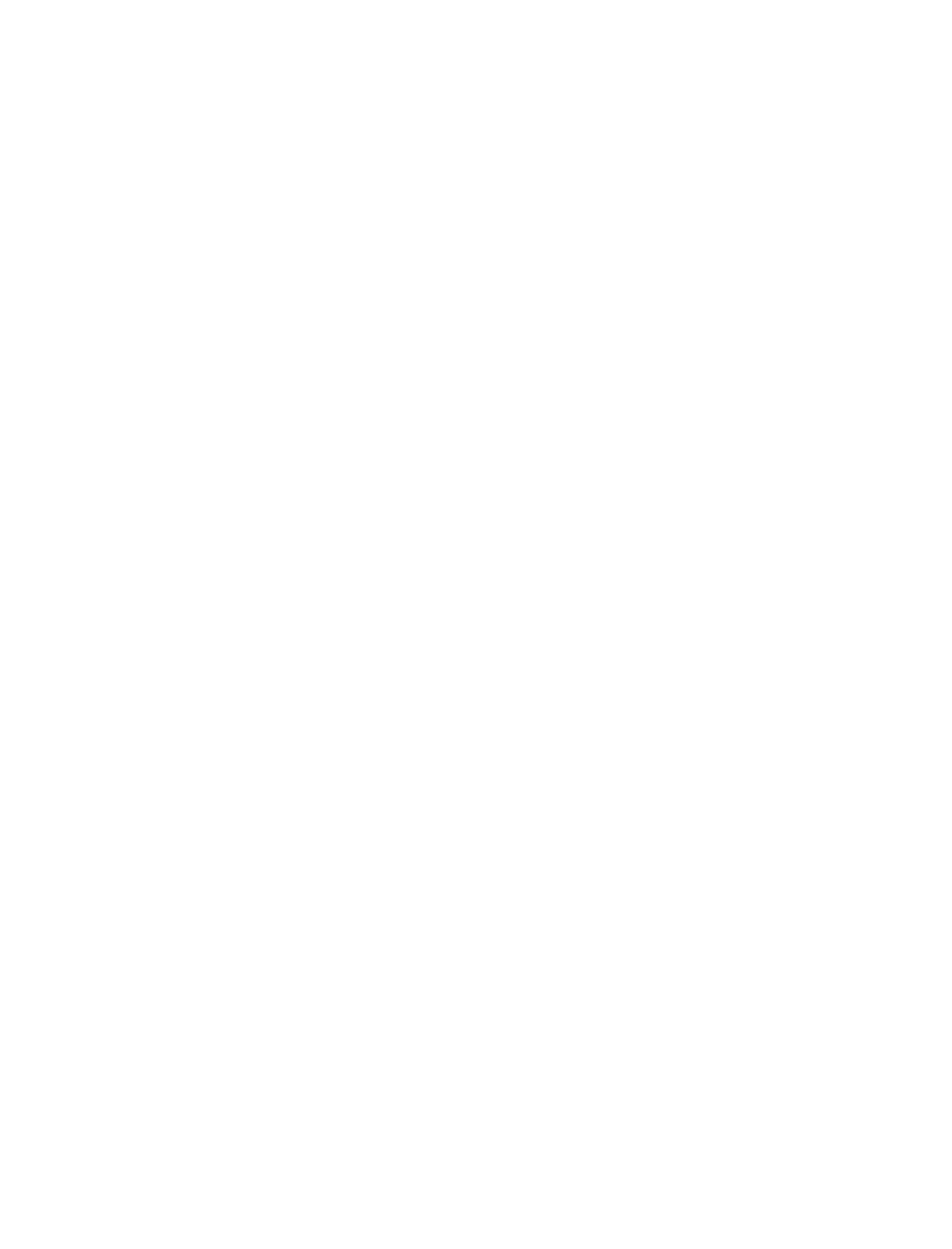 PAP 21